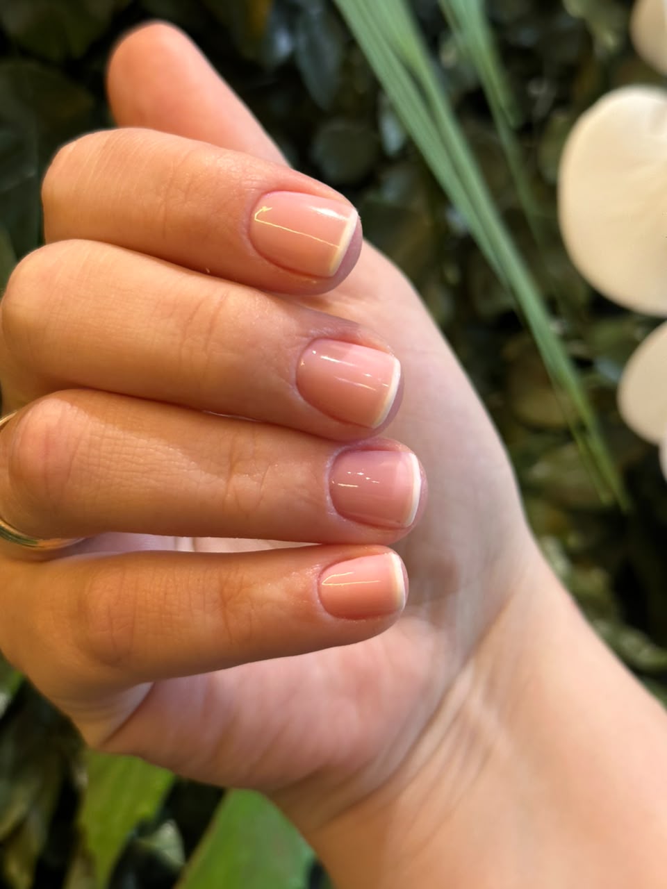 Unhas tradicionais com acabamento natural